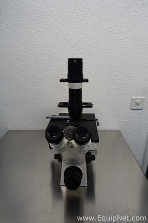 Microscopio Carl Zeiss Microimaging GmbH Axiovert 40C