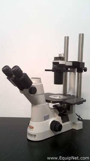 Microscopio Nikon Eclipse TS100-F