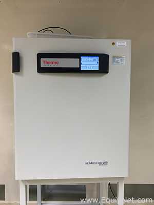 Incubadora Thermo Scientific HERAcell Vios 250i
