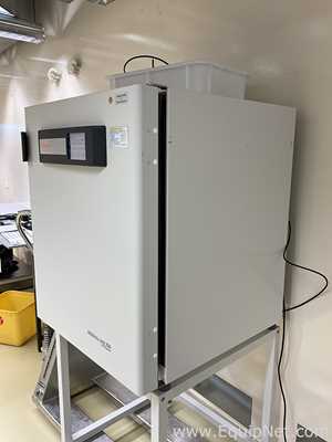 Incubadora Thermo Scientific HERAcell Vios 250i