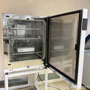 Incubadora Thermo Scientific HERAcell Vios 250i