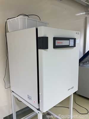 Incubadora Thermo Scientific HERAcell Vios 250i