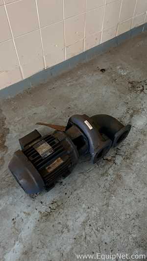 Caotto 90 S Dual-Outlet Centrifugal Pump