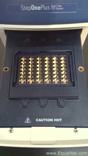 PCR y Termociclador Applied Biosystems StepOnePlus