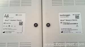 Lot of 2 Invitrogen iBind Western Devices