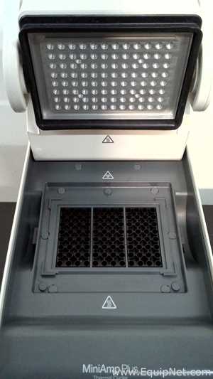 PCR y Termociclador Applied Biosystems MiniAmp Plus