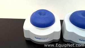 Lote de 6 Mezclador de Laboratorio Fisherbrand Mini Vortex Mixer