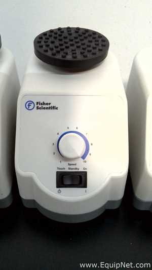 Lote de 4 Agitador Fisher Scientific 02215414