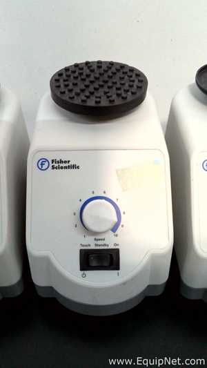 Lote de 6 Agitador Fisher Scientific 02215414