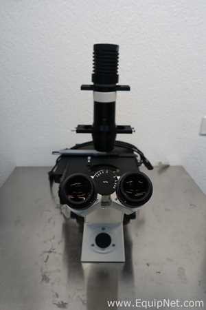 Microscopio Carl Zeiss Axiovert 40C