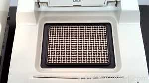 Lote de 3 PCR y Termociclador Bio-Rad 