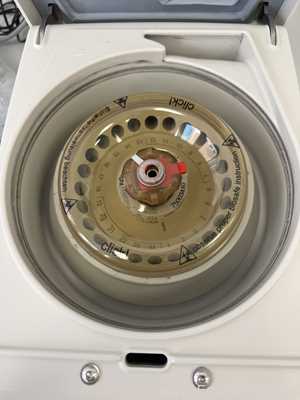 Thermo Fisher Scientific Pico 17 Laboratory Centrifuge
