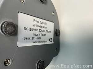 Fisher Scientific Mini Vortex Mixer