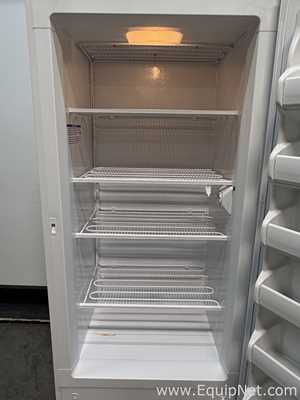 Congelador Fisher Scientific 20LFEEFSA