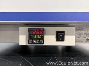 Incubadora Thermo Scientific Fisherbrand Basic 60L
