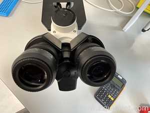 Microscópio Nikon Eclipse TS100