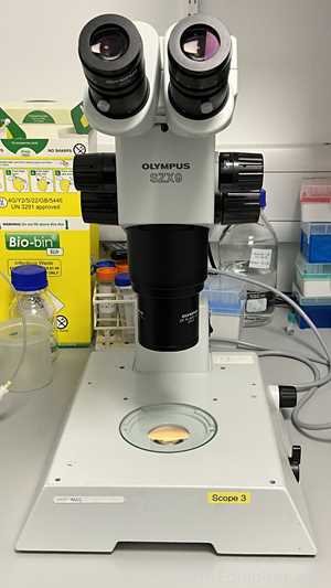 Microscópio Olympus SZX9