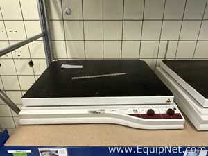 Agitador GFL 3019