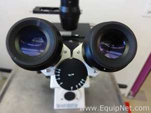 Zeiss Inc. Axiovert 40 C Microscope