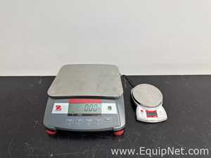 lote de   Balança de Laboratório Ohaus Corporation R31P1502