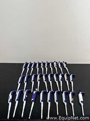 Lote de  Pipeteador Rainin Pipet-Lite XLS