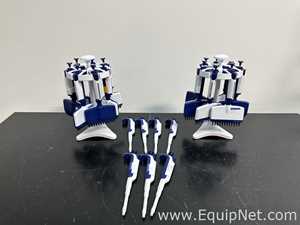 Lote de  Pipeteador Rainin Pipet-Lite XLS