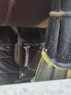 Stamford S4L1D-E41 4-pole Industrial Alternator