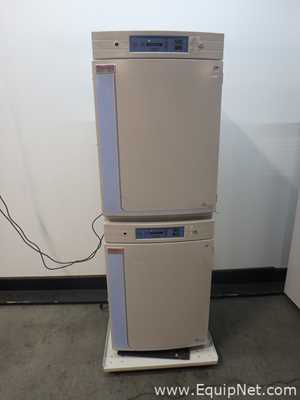 Incubadora Thermo Scientific 370