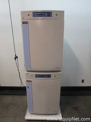 Incubadora Thermo Scientific 370