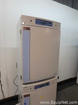 Incubadora Thermo Scientific 370