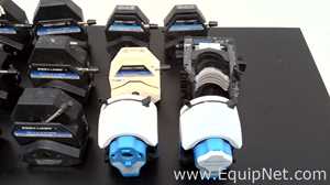 Lote de 16 Bomba de Laboratorio Cole Parmer Masterflex L/S