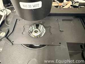 Optika IM-DGFL Microscope