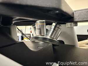 Optika IM-DGFL Microscope
