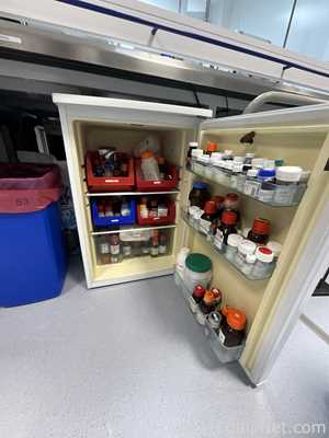 Lec Medical  LR111 133 Litre Under Counter Laboratory Refrigerator