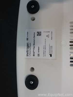 Sistema de Eletroforese Invitrogen iBind