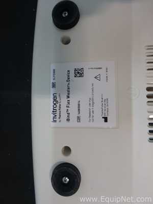 Sistema de Eletroforese Invitrogen iBind