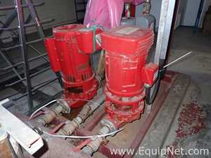 lote de   Bomba Linear S.A. Armstrong 2x2x10