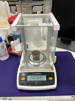 Sartorius ENTRIS224I-1S Analytical Balance with Power Supply