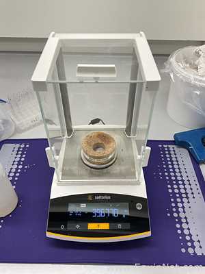 Báscula Sartorius BCE224I-1S