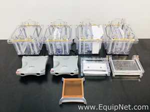 Lot Of Invitrogen Electrophoresis