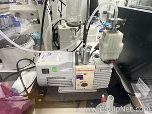 Bomba de Vacío Edwards RV5