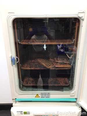 Incubadora Kendro Laboratory Products HeraCell