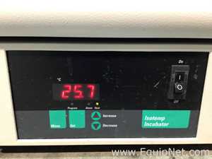 Incubadora Fisher Scientific 650F
