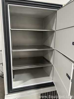 Congelador Thermo Fisher Scientific 956