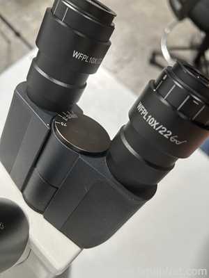 Fisher Scientific 29AX Microscope