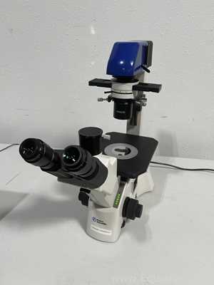 Fisher Scientific 29AX Microscope