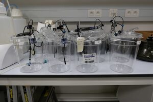 Equipamentos Laboratoriais Diversos Starr Life Sciences Bioseb