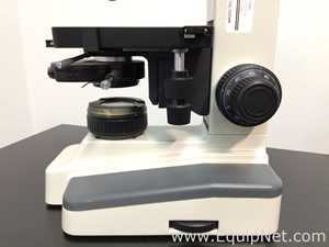 Microscópio VWR 89404-472
