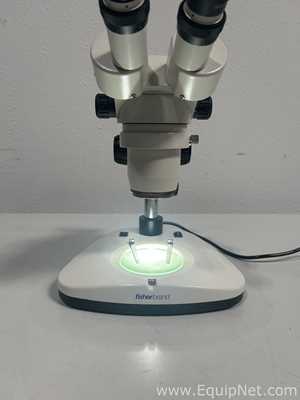Microscopio Fisher Brand 