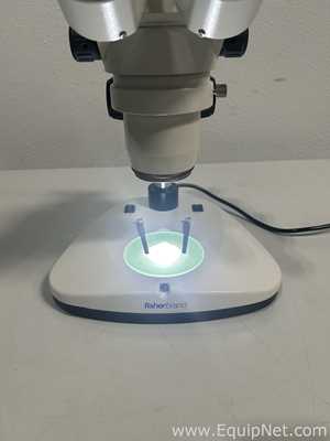 Microscopio Fisher Brand 